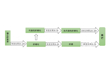 中國(guó)系全球乙肝病毒中高度流行區(qū)，用藥市場(chǎng)規(guī)模大（附報(bào)告目錄）