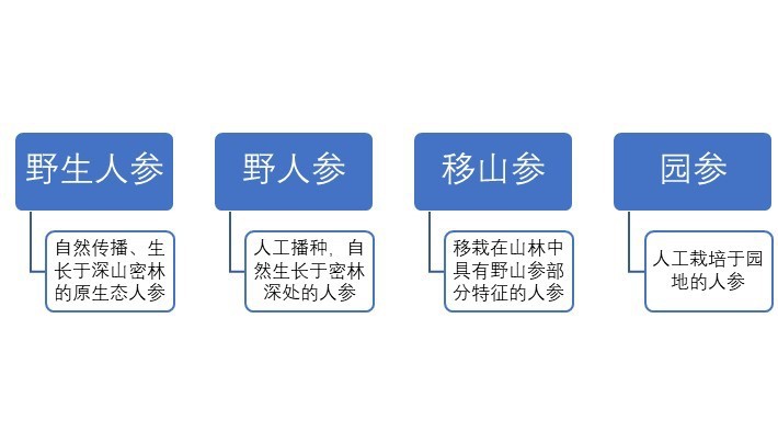 人參行業(yè)概況與區(qū)域結(jié)構(gòu)分析（附報告目錄）(圖1)