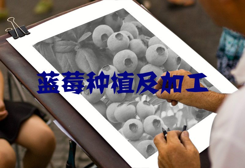 制約我國藍(lán)莓行業(yè)因素與市場化程度分析（附報告目錄）(圖1)