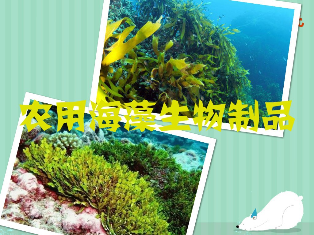 農(nóng)用海藻生物制品行業(yè)發(fā)展趨勢與前景分析（附報(bào)告目錄）(圖1)