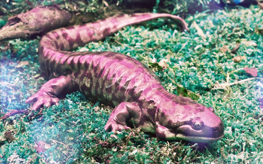 2-200331194615439.jpg 2-200331194615439.jpg