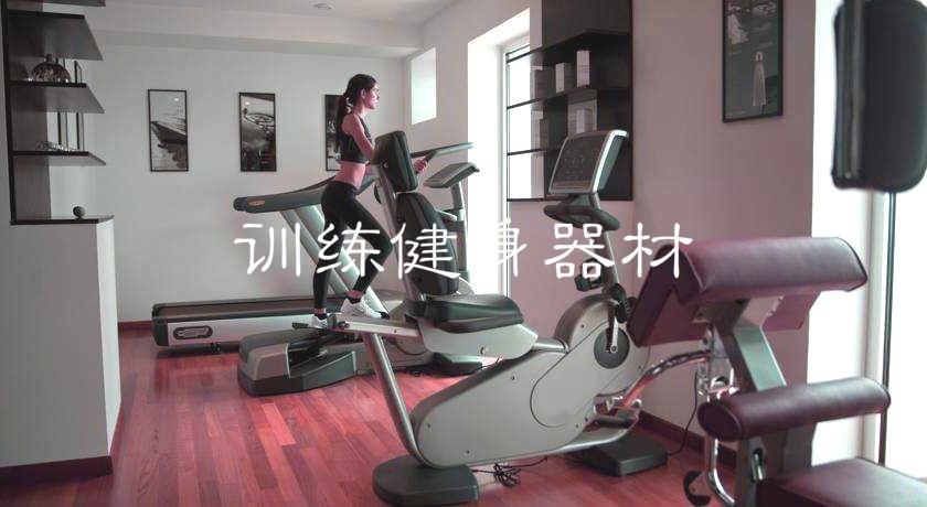 體育之健身器材行業(yè)等都在這里了(附報(bào)告目錄)(圖1)