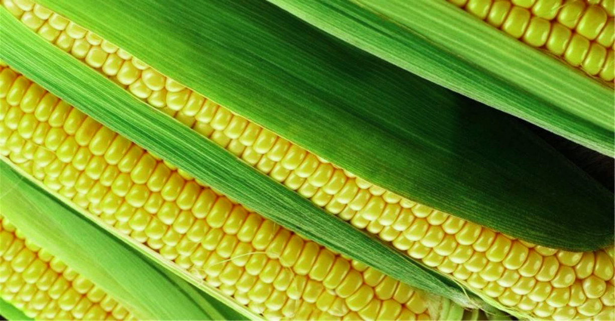 2-200419215315408.jpeg 2-200419215315408.jpeg